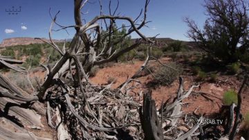 Ghaibat   The era of Allahs rage