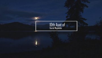 Sleeping Etiquettes – Words of Wisdom – H.I. Hayder Shirazi